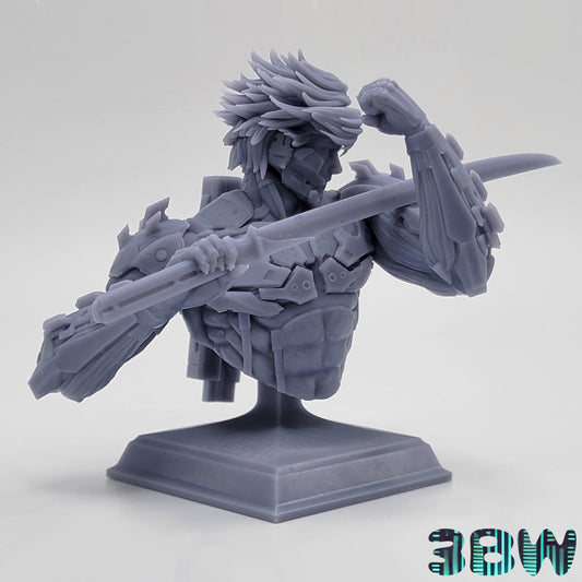 Raiden Bust | 3-Inch Resin Model Kit | DIY Metal Gear Solid Sword Pose