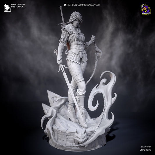 Ciri | 11-Inch Resin Model Kit | The Witcher Swordfighter and Heiress